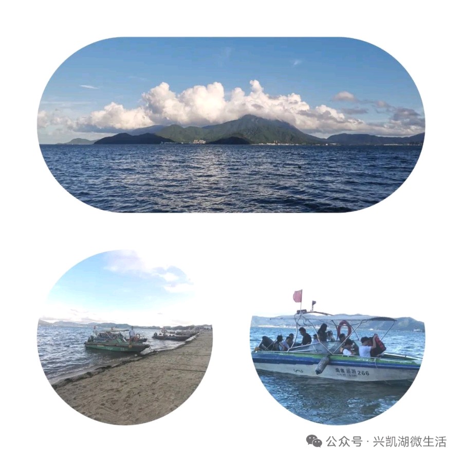 昔日古村落 今日商业城——参观深圳大鹏所城/王 夫（图9）