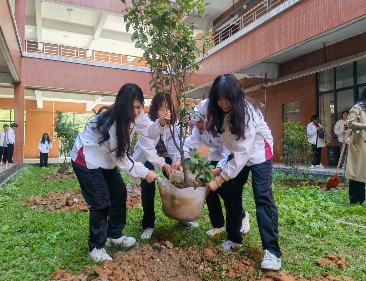 量子诗歌·文同文化社“名篇·名家·名评”系列之网田耕夫老师的作品《种树人》‖作者:文化强国量子诗歌文化传媒诗友（图14）