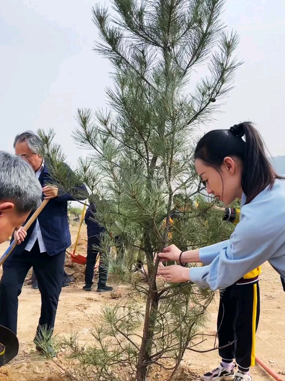 量子诗歌·文同文化社“名篇·名家·名评”系列之网田耕夫老师的作品《种树人》‖作者:文化强国量子诗歌文化传媒诗友（图23）