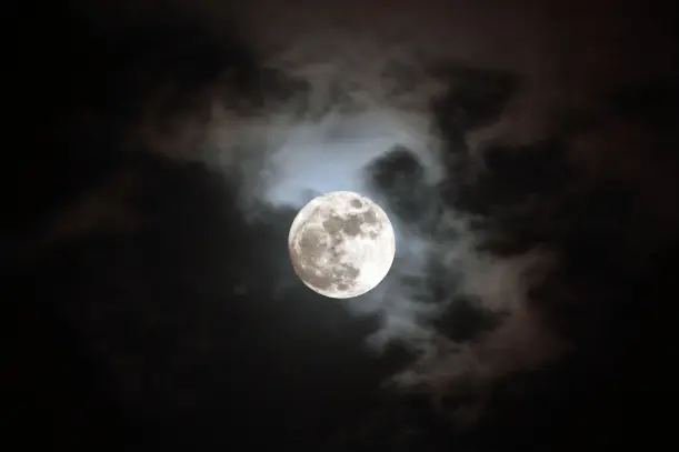 黑夜的讽刺（文/奇石）……莲叶之珠文学社
