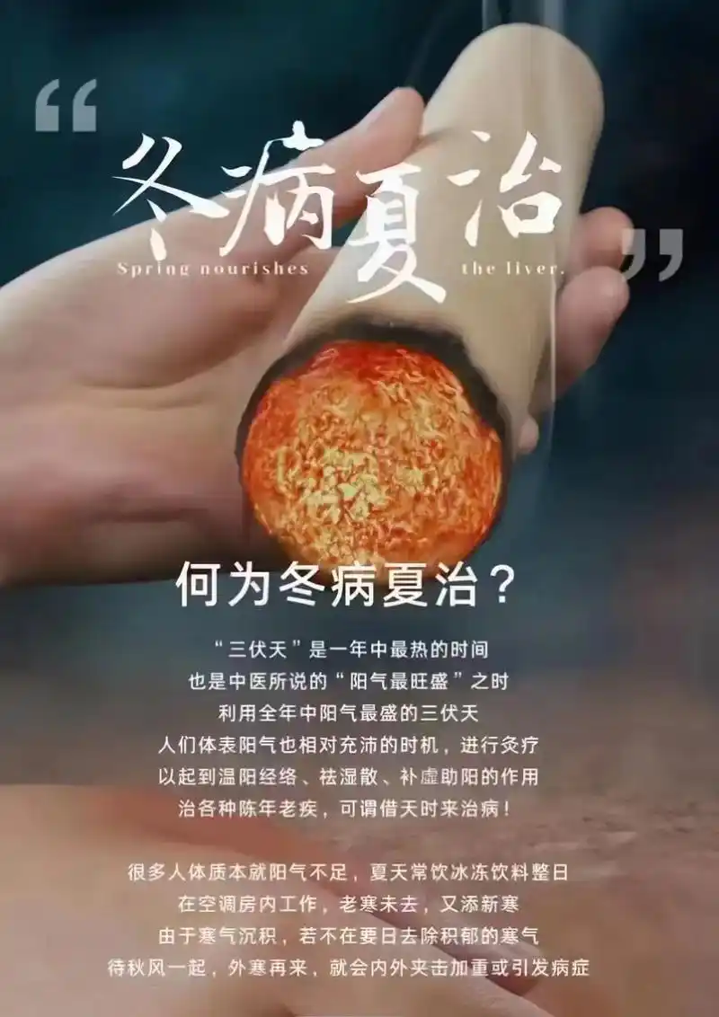 冬病夏治正当时!(图5)