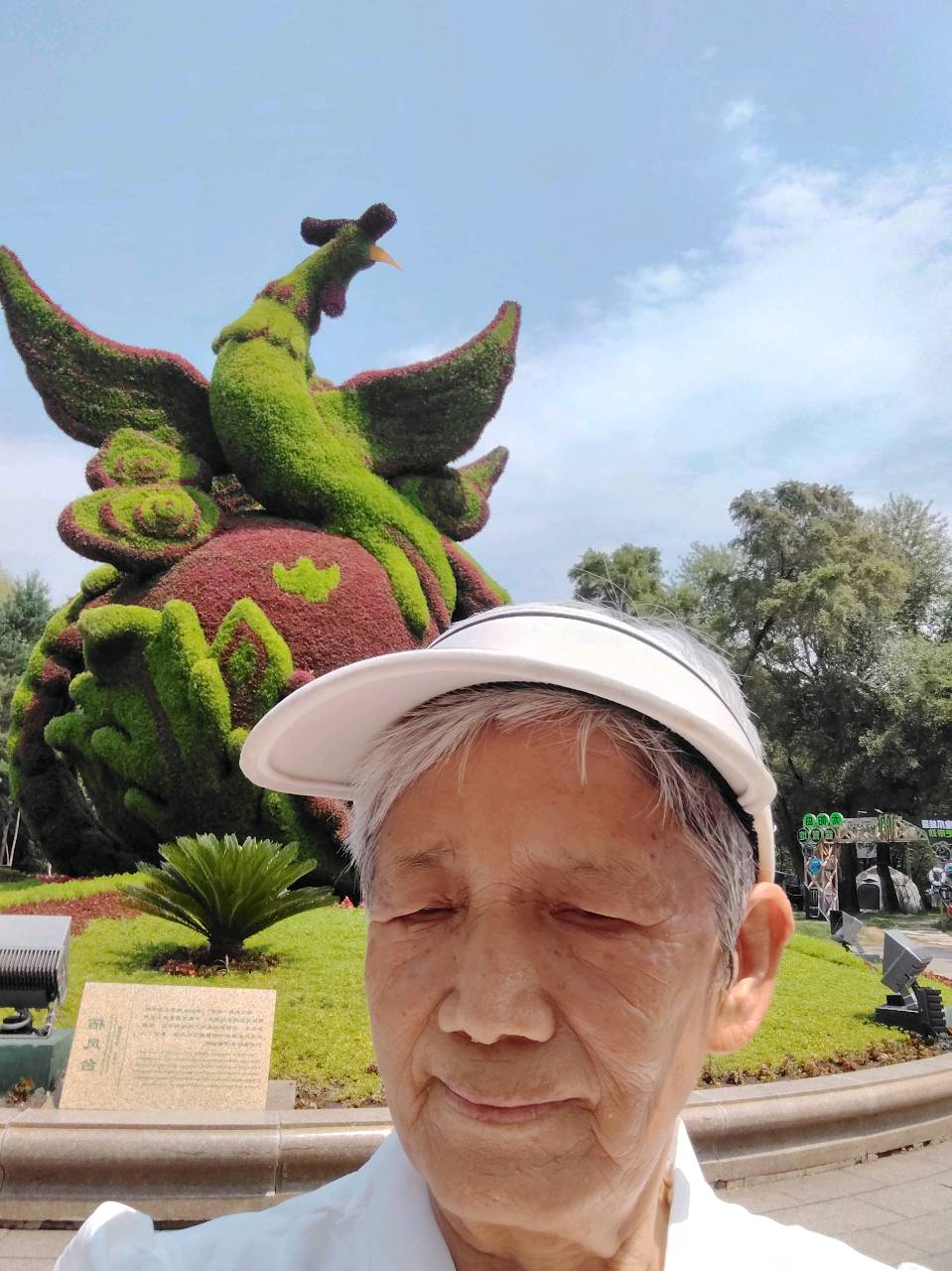 《沁园春》松花江哈尔滨之夏作者孙秀兰主编王维宪（图11）