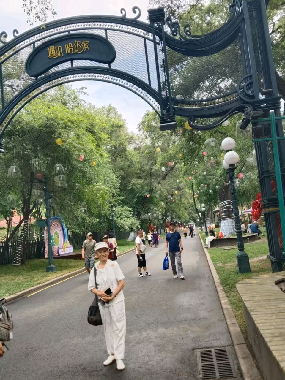 《沁园春》松花江哈尔滨之夏作者孙秀兰主编王维宪（图24）
