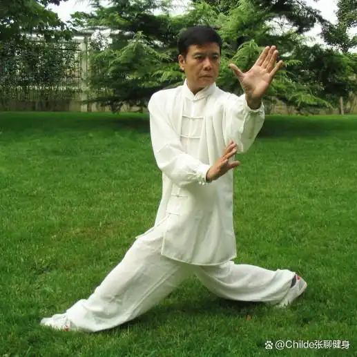 陈正的《泌阳太极颂》（图8）