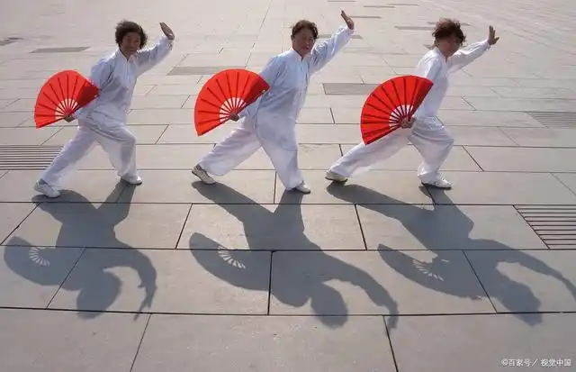 陈正的《泌阳太极颂》（图6）