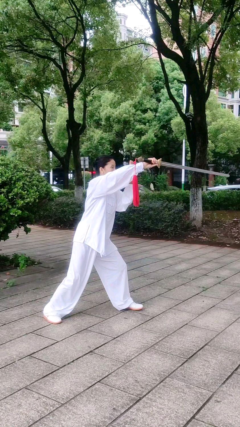 陈正的《泌阳太极颂》（图3）