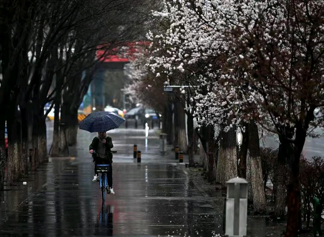 《七律，观雨行吟》作者：郭小林 [中国现代诗歌文化传媒推荐]（图5）