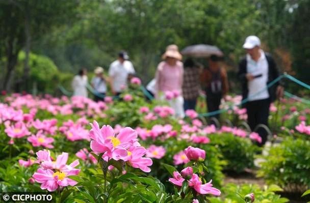 红色文化传媒诗歌精选63期(图16)