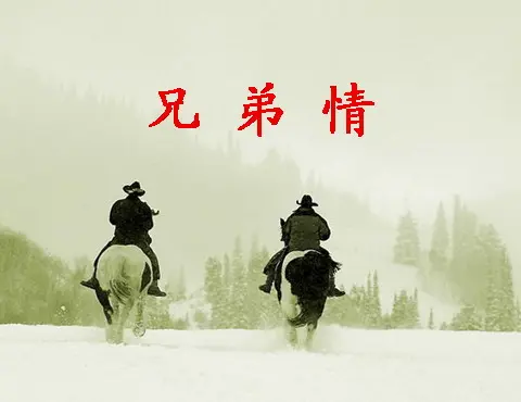 兄弟情（文/金刚悬剑）……莲叶之珠文学社