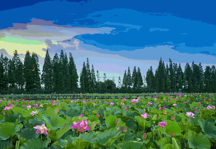 【神都诗社】第127期《夏日》(图3)