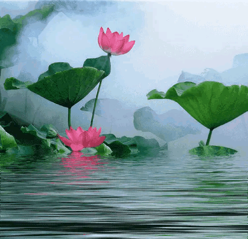 《词八首》作者：龙游天下 [中国现代诗歌文化传媒推荐]（图5）