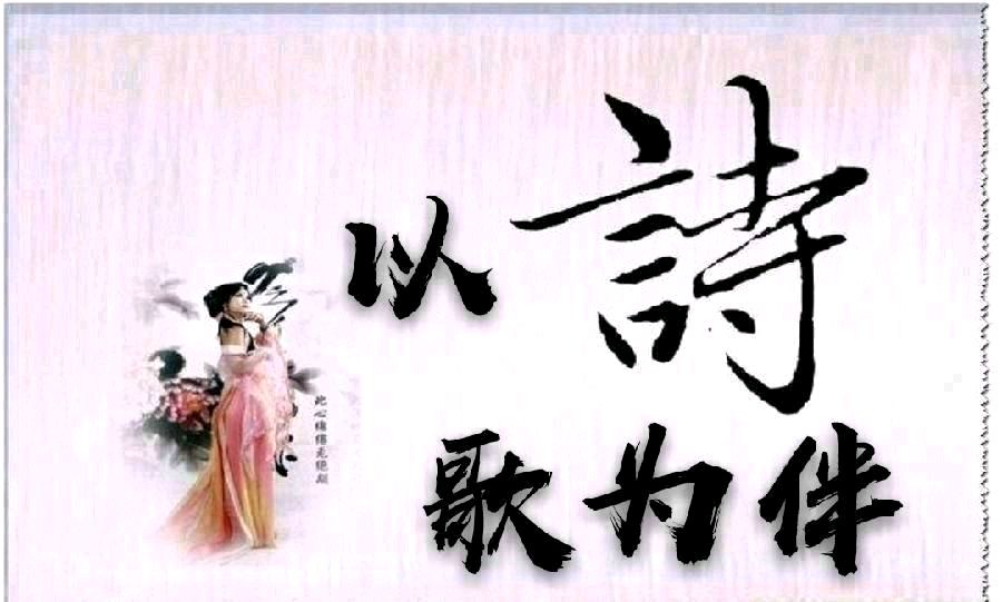 量子诗歌“七嘴八舌”说诗评诗系列‖文化强国量子诗歌文化传媒不一样的烟火（图5）