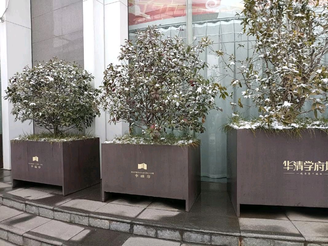 量子诗歌“七嘴八舌”说诗评诗系列‖文化强国量子诗歌文化传媒不一样的烟火（图11）
