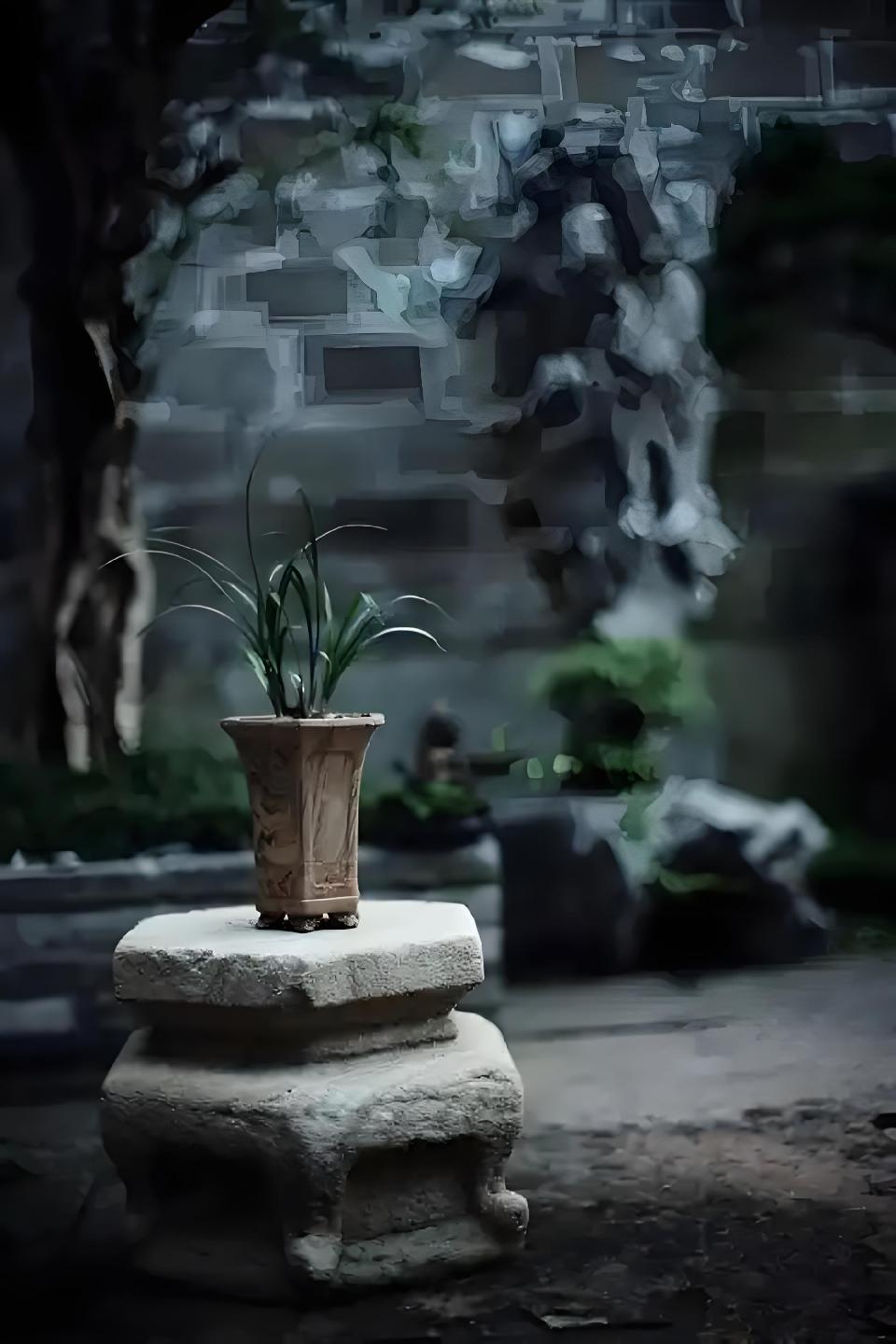 暮春渐去,拥此青痕以长青//作者:墨风//合诵:肖薇 鹏瑄(图17)