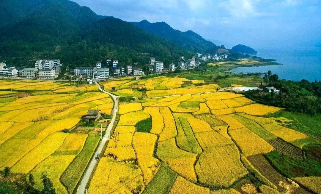 【荣耀中国】五绝 夏日南山游文/南山翁（图5）