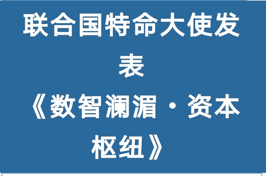 锚定数字边疆,启航百亿生态!云南辐射南亚东南亚数字AI经济总部高峰论坛暨西双版纳招商洽谈会盛大启幕!(图5)
