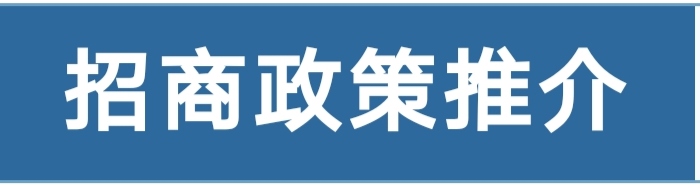锚定数字边疆,启航百亿生态!云南辐射南亚东南亚数字AI经济总部高峰论坛暨西双版纳招商洽谈会盛大启幕!(图7)