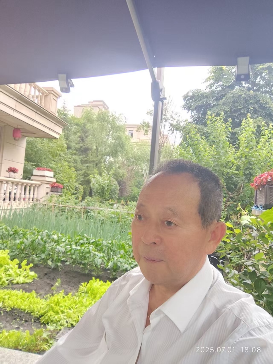 周园拾趣 ：同唱者||众诗友｜海外头条（图15）