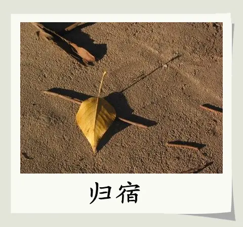 《现代诗及现代古诗鉴赏》作者：涧石 [中国现代诗歌文化传媒推荐]（图7）