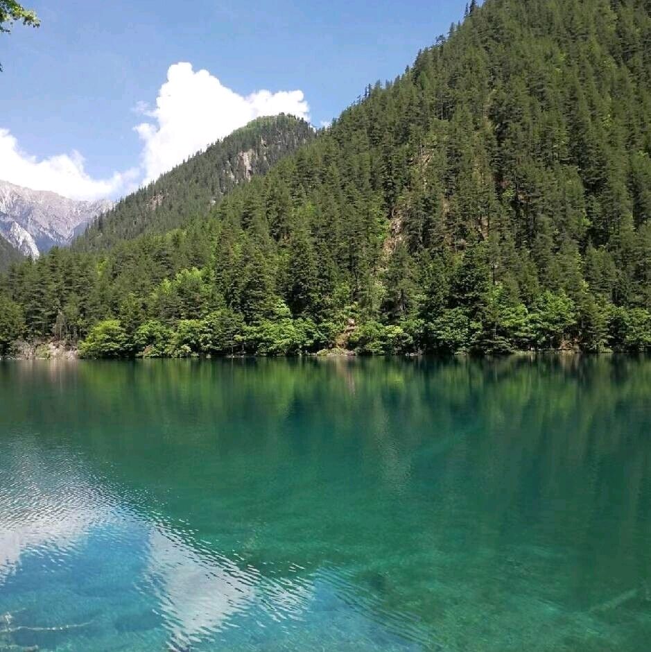 浪淘沙令·浮名叹