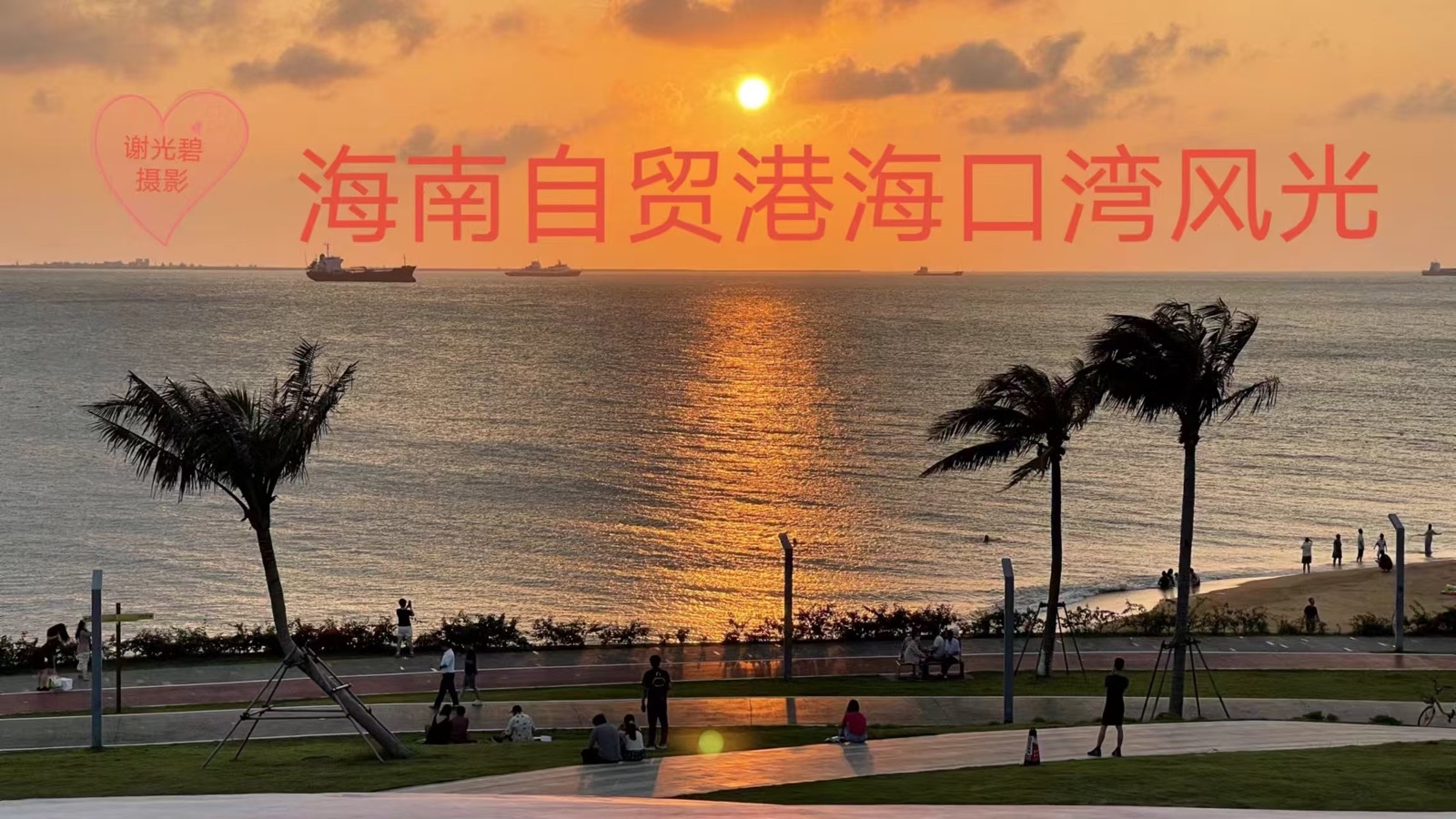 椰城仲夏随感_作者／琳子_南海特区头条