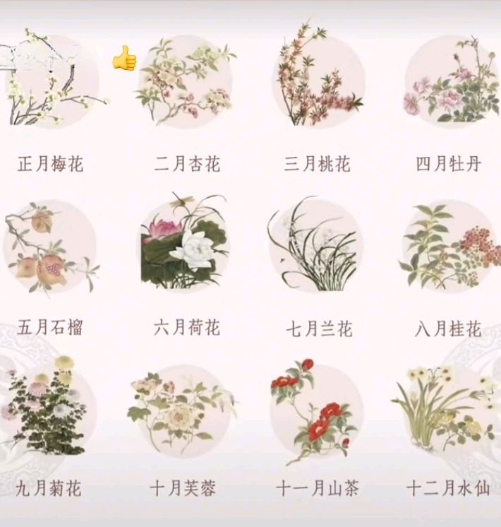 十二花神赋连载 ① ②诗◑雅轩琴韵（图14）