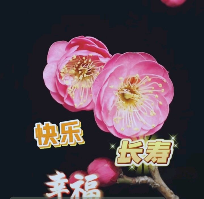 十二花神赋连载 ① ②诗◑雅轩琴韵（图18）