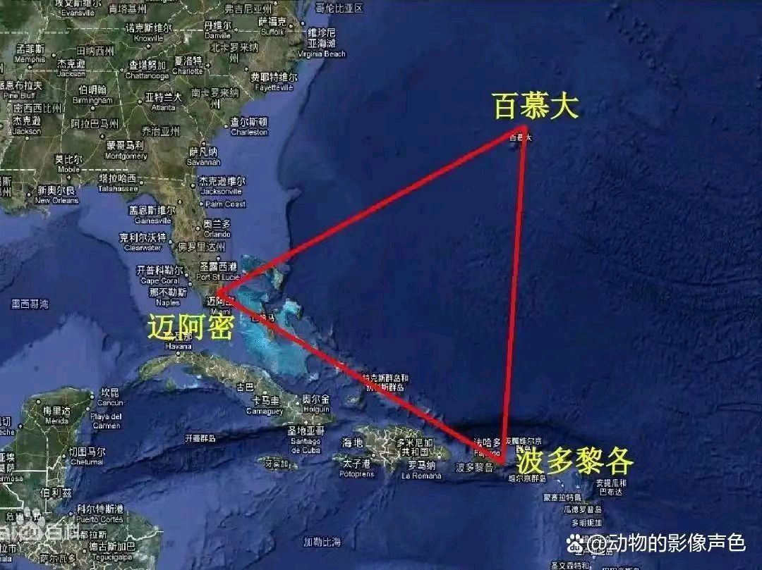 【荣耀中国】万菊芳题图诗第52期（图12）