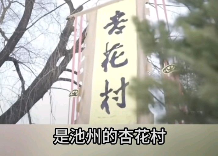 十二花神赋连载 ① ②诗◑雅轩琴韵（图29）