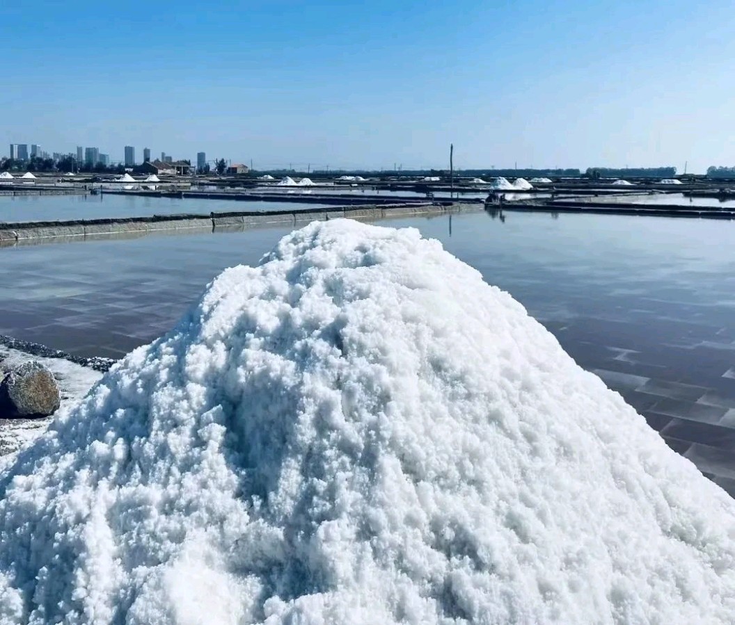 《永恒燃烧的盐柱》文/春华秋实（图4）