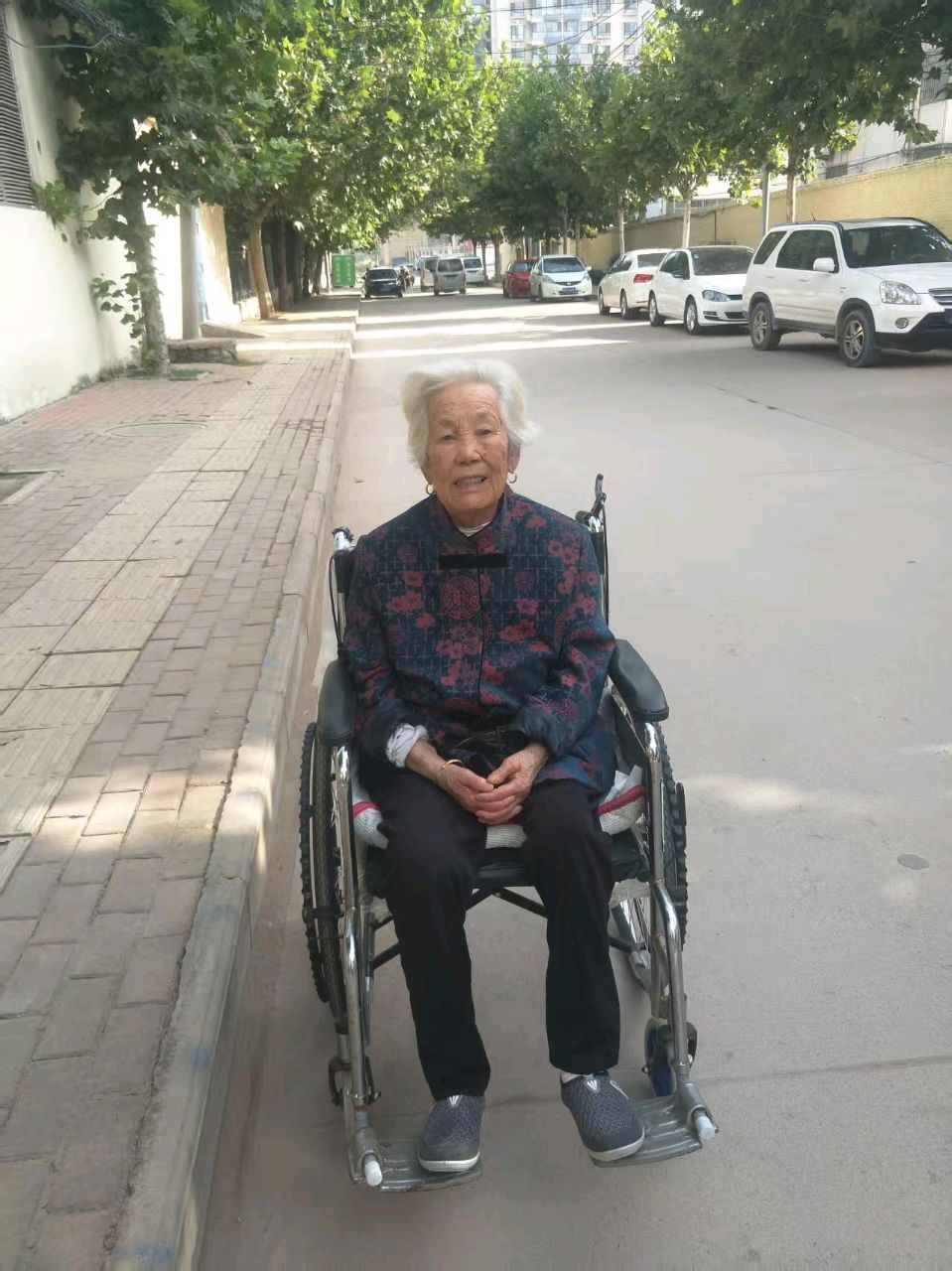 丁保光:杏梅香里忆慈颜（图13）