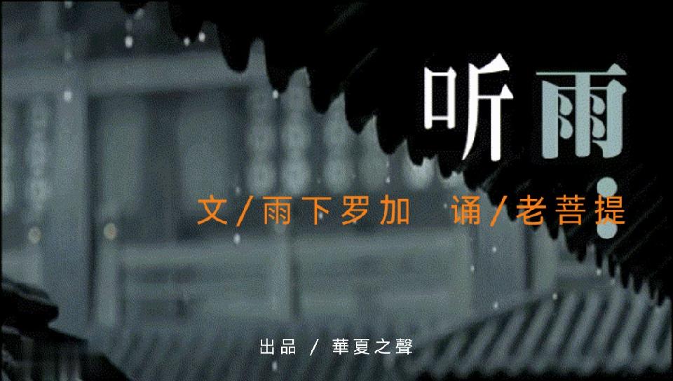 听雨//作者 / 雨下罗加//朗诵 / 老菩提（图2）