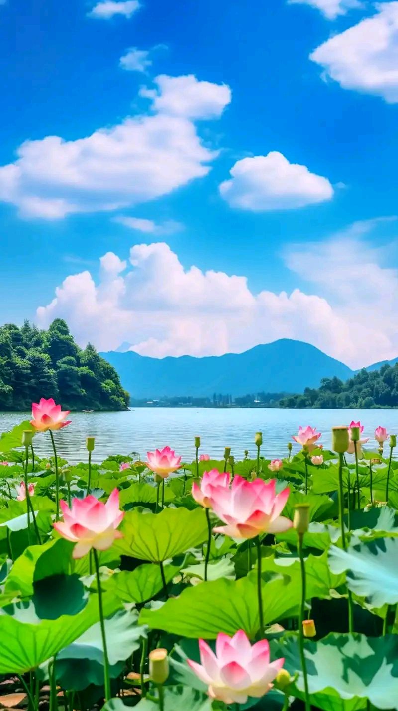 [北京头条]广东大埔茶阳诗人郑立标老师的精选作品《诗与布吉街音乐协会党支部演讲文稿》（图5）