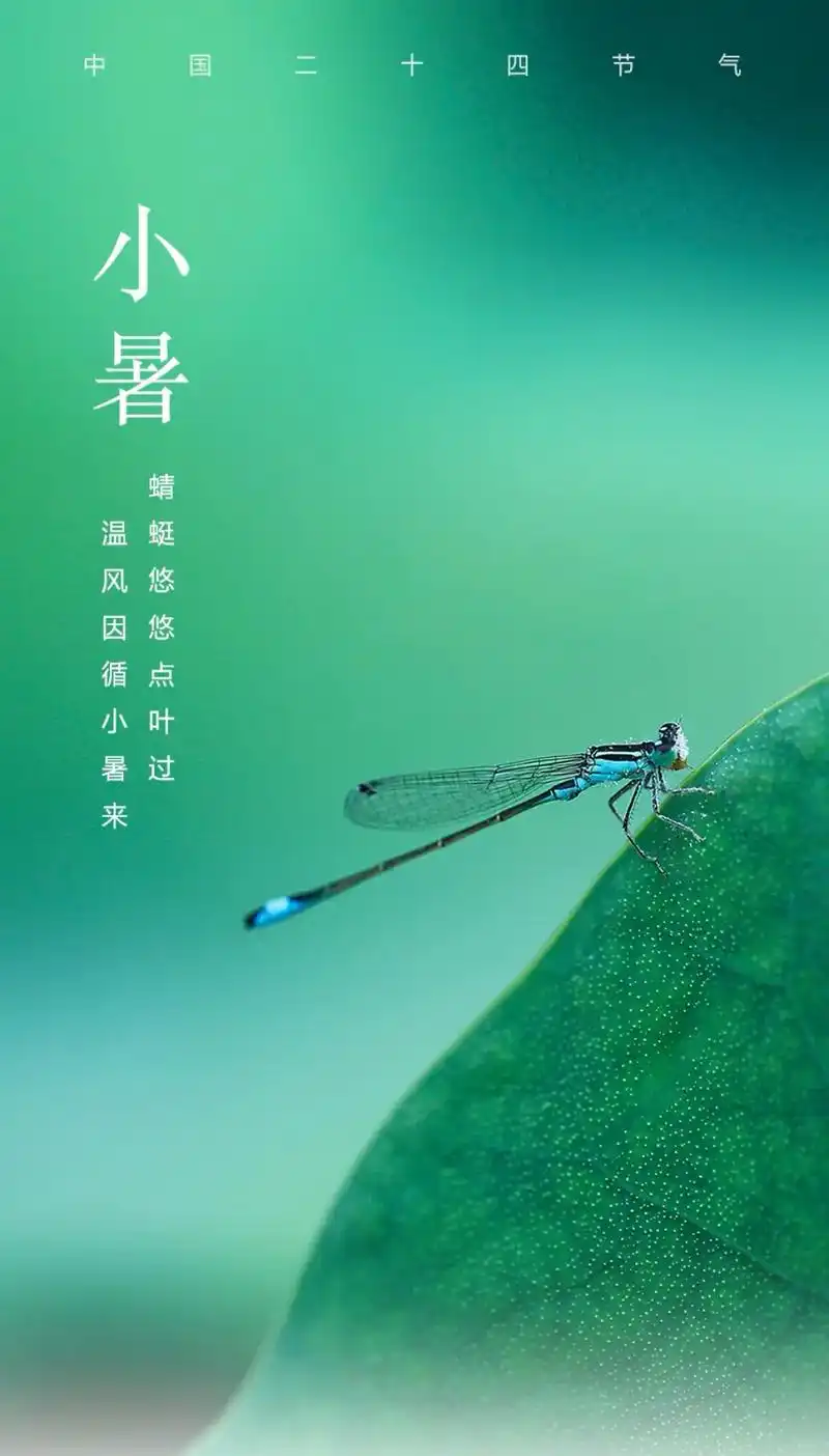 小暑节气‖巴彦诗词楹联协会【906】（图3）