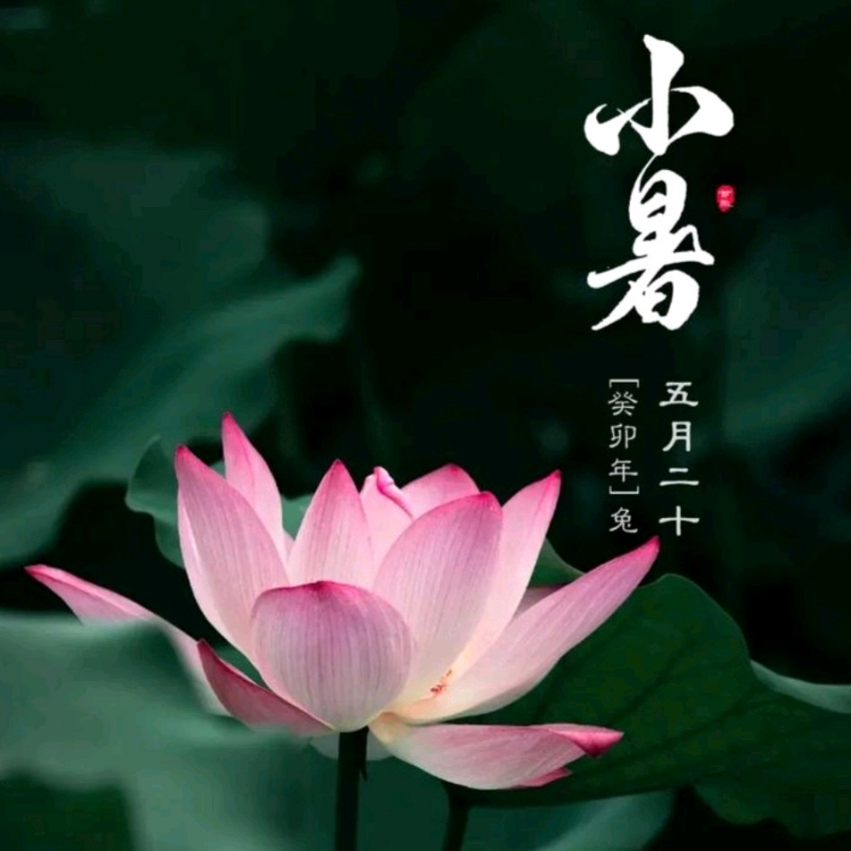 《九江文学社：北京头条》乙巳小暑节气专刊（图7）