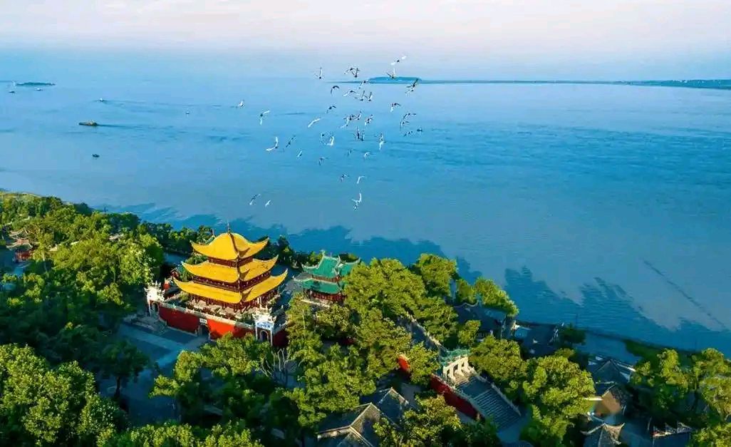 【曾经漫记·五湖四海】佘一龙（福建）