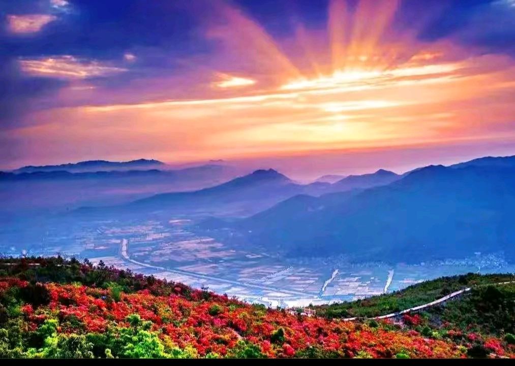 【荣耀中国】极端热浪掠江淮 张言（图2）