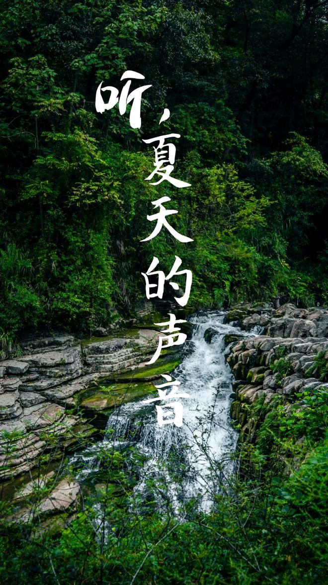 如梦令-夏吟～词◑王政（图15）