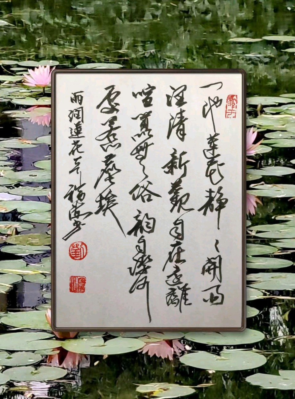 雨润莲花一刘福海（图2）