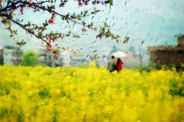 张秀亚 《春天的声音》诵读:倾韵(图5)