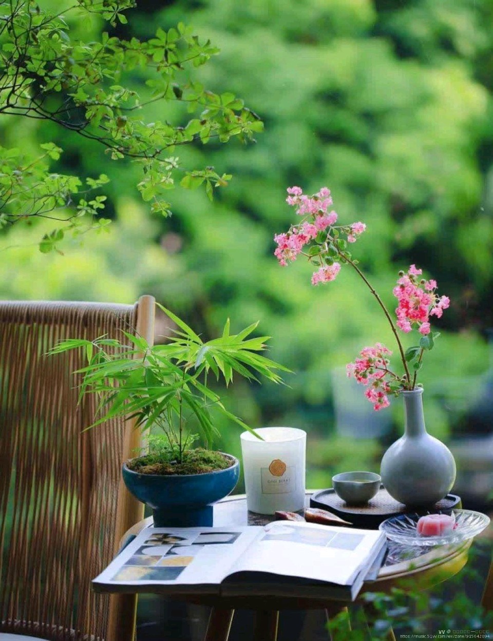 张秀亚 《春天的声音》诵读：倾韵（图7）