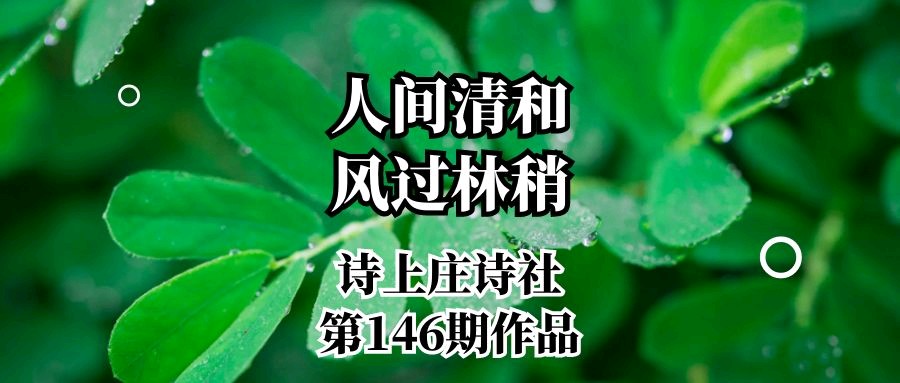人间清和,风过林梢——诗上庄诗社第146期作品