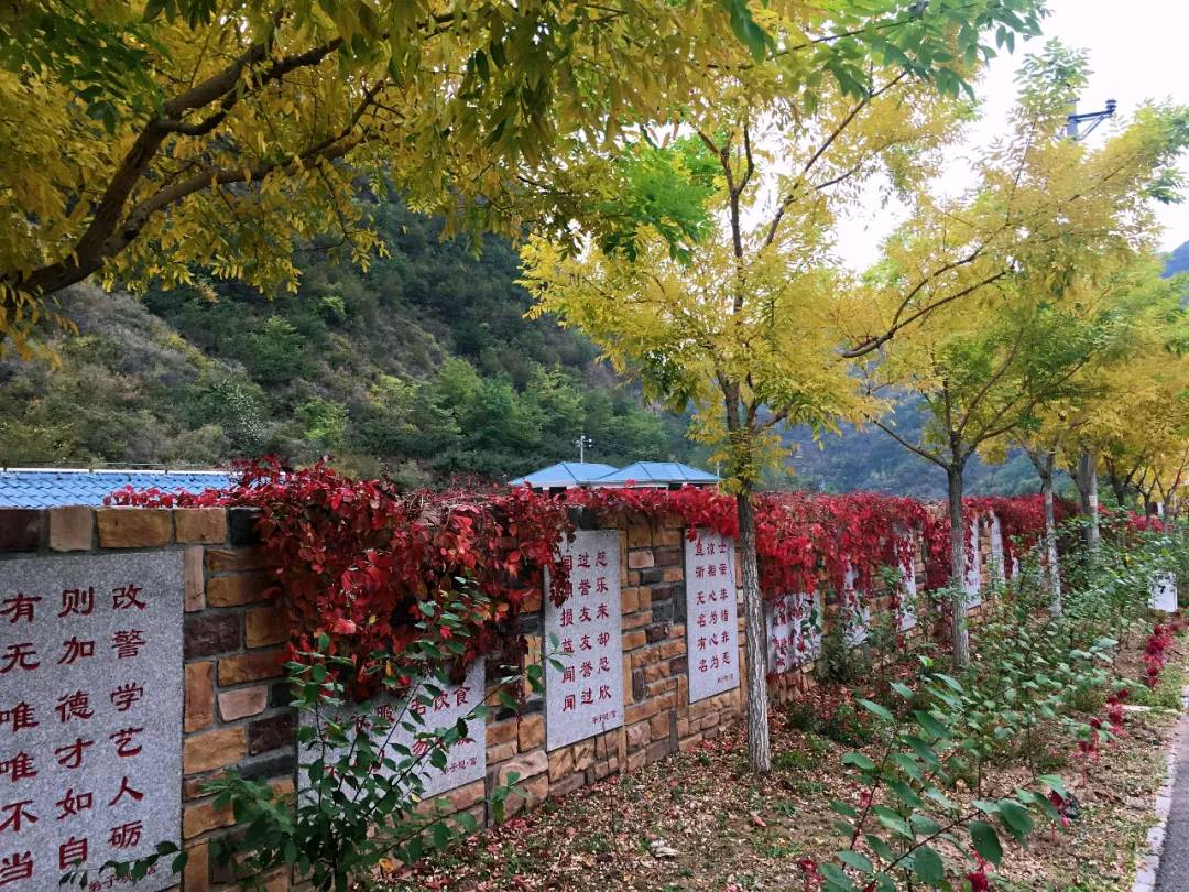 人间清和,风过林梢——诗上庄诗社第146期作品(图12)