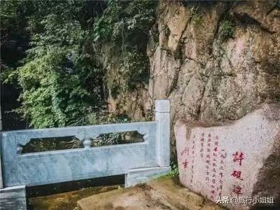 人间清和,风过林梢——诗上庄诗社第146期作品(图17)