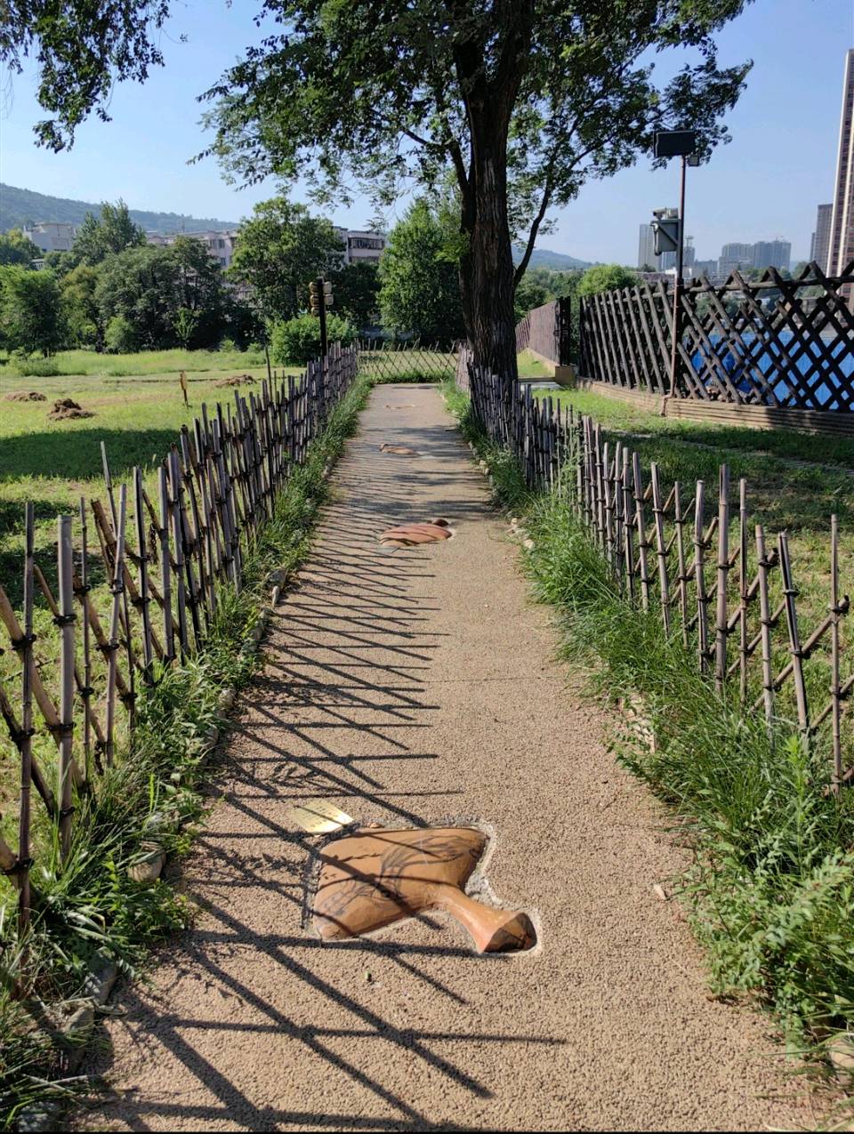 《夏季篇》∥李炫征（图3）