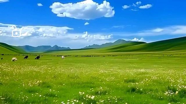 凤凰之歌诵读《醉在草原》 作者 :张子周(图7)