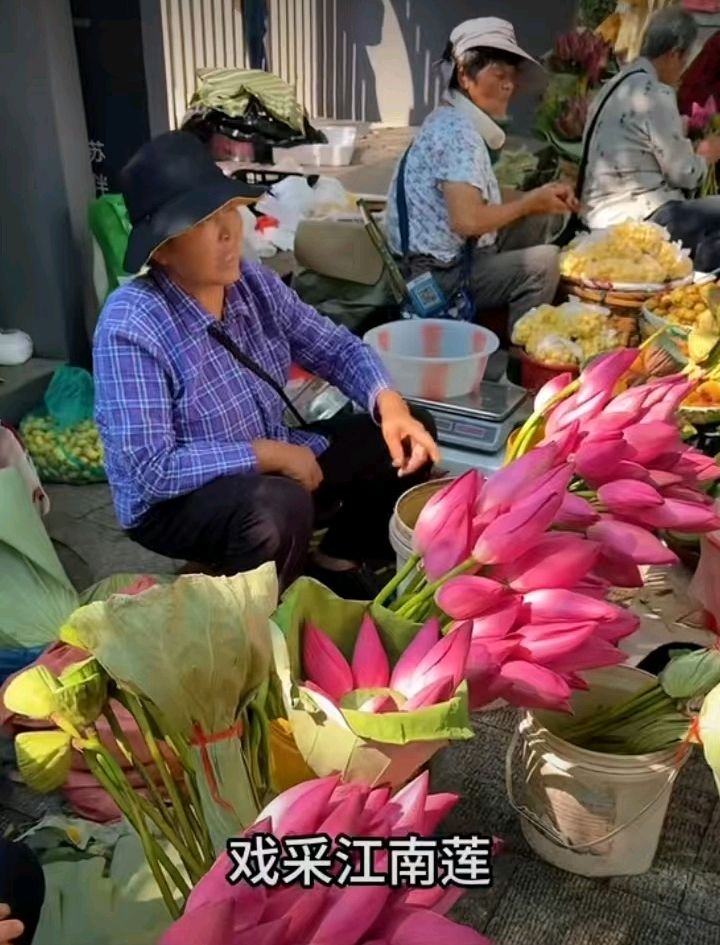 十二花神赋连载⑤⑥诗◑雅轩琴韵（图32）