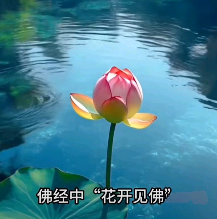 十二花神赋连载⑤⑥诗◑雅轩琴韵（图29）