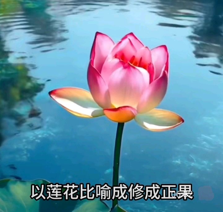十二花神赋连载⑤⑥诗◑雅轩琴韵（图30）