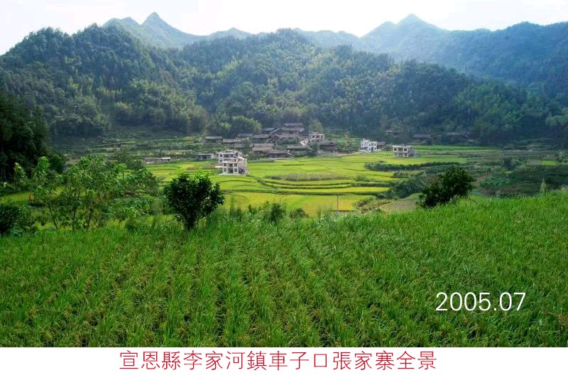 【名人风采】共和国红色巨匠张祥志（图8）